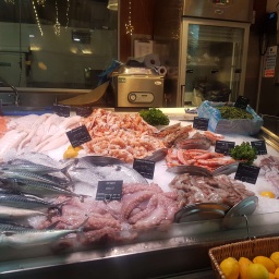 irland rundreise 2022 evelyn_30